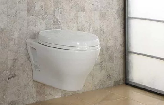 flush toilet with bucket