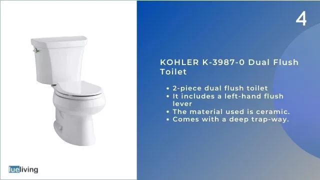 dual flush toilet reviews