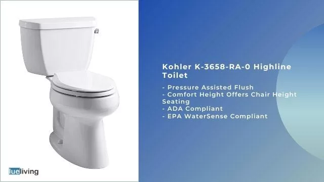 Kohler K-3658-RA-0 toilet for large poop
