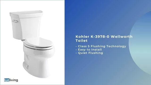 best toilet for large stools
