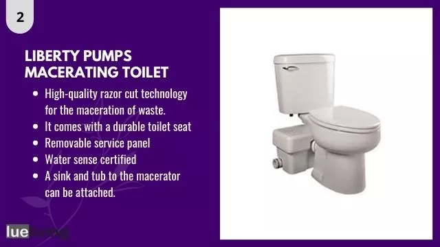 toilets with pumps