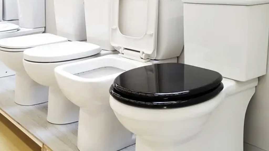 Kohler vs American Standard Toilet