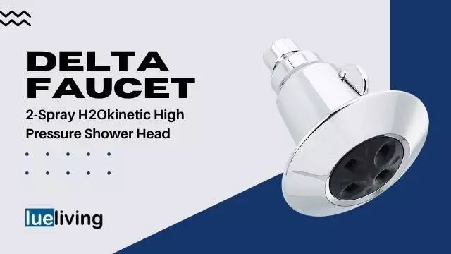 Delta Faucet 2-Spray H2Okinetic
