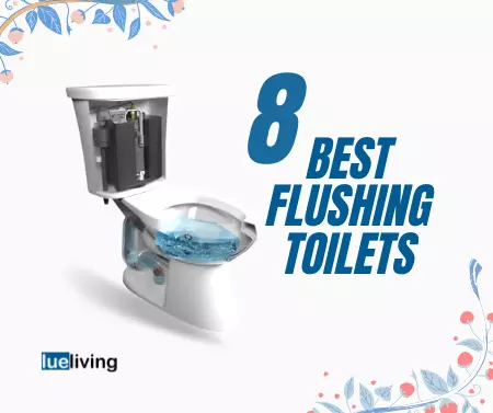 best flushing toilets