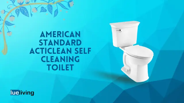 american standard acticlean self cleaning toilet review