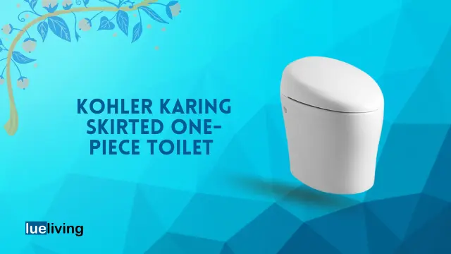 Kohler karing toilet