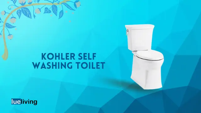 Kohler self washing toilet