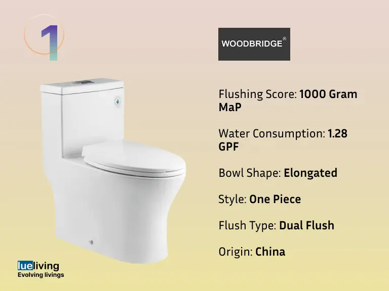 woodbridge dual flush toilet