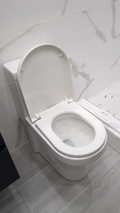 image of installed horow toilet