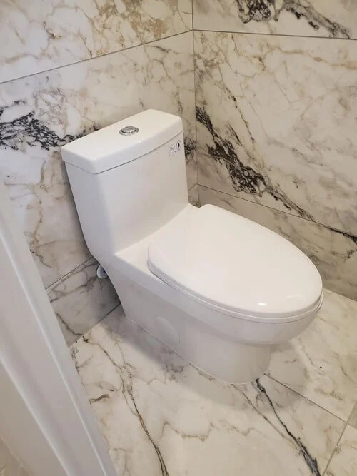 picture of a installed deervalley dual flush toilet