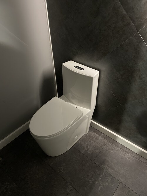 image of a installed swiss madison toilet